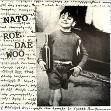 EP NATO / ROE DAE WOO